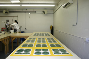 D-LUX Screen Printing